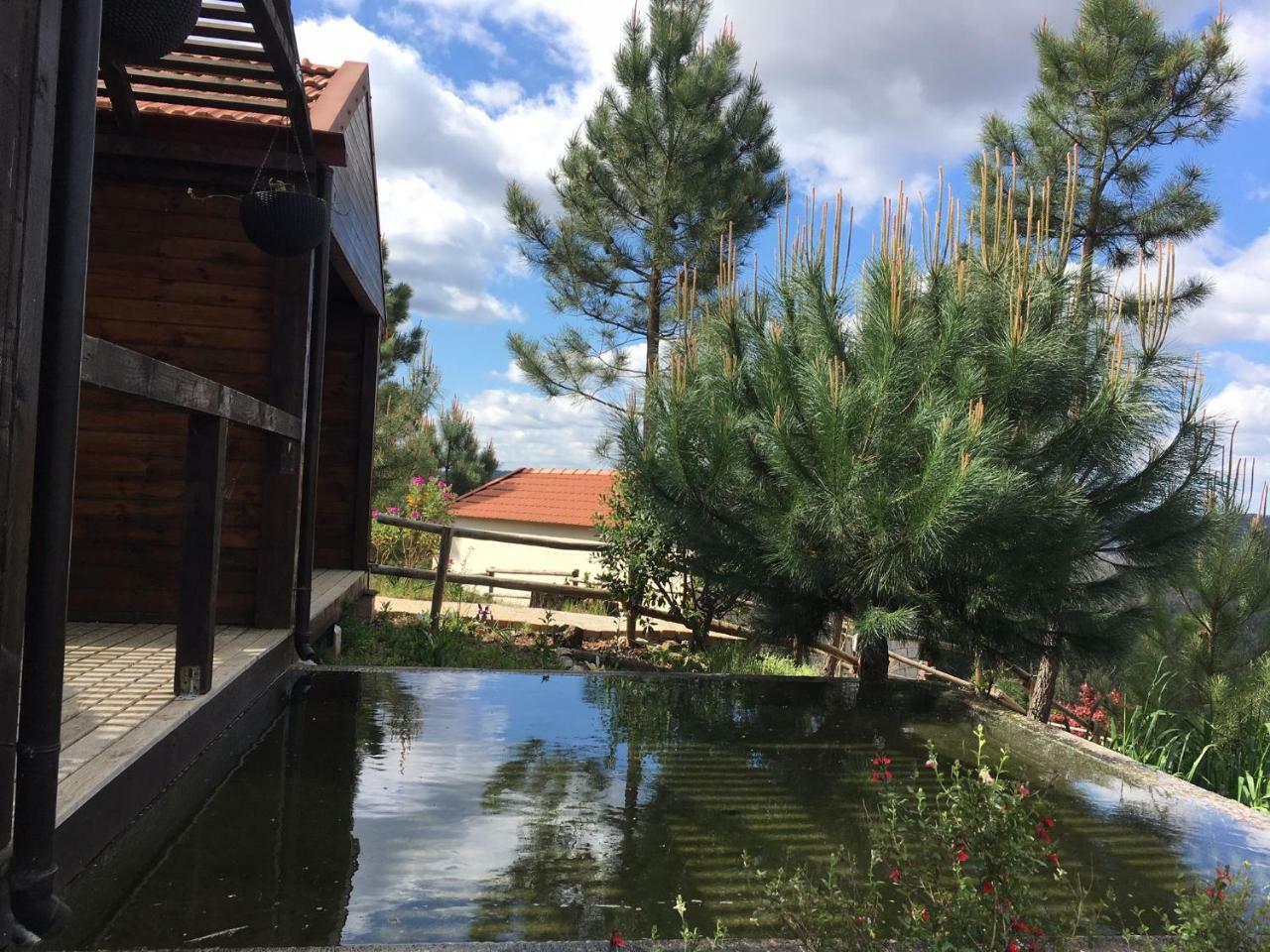 Villa De Paco Север-ду-Вога Экстерьер фото